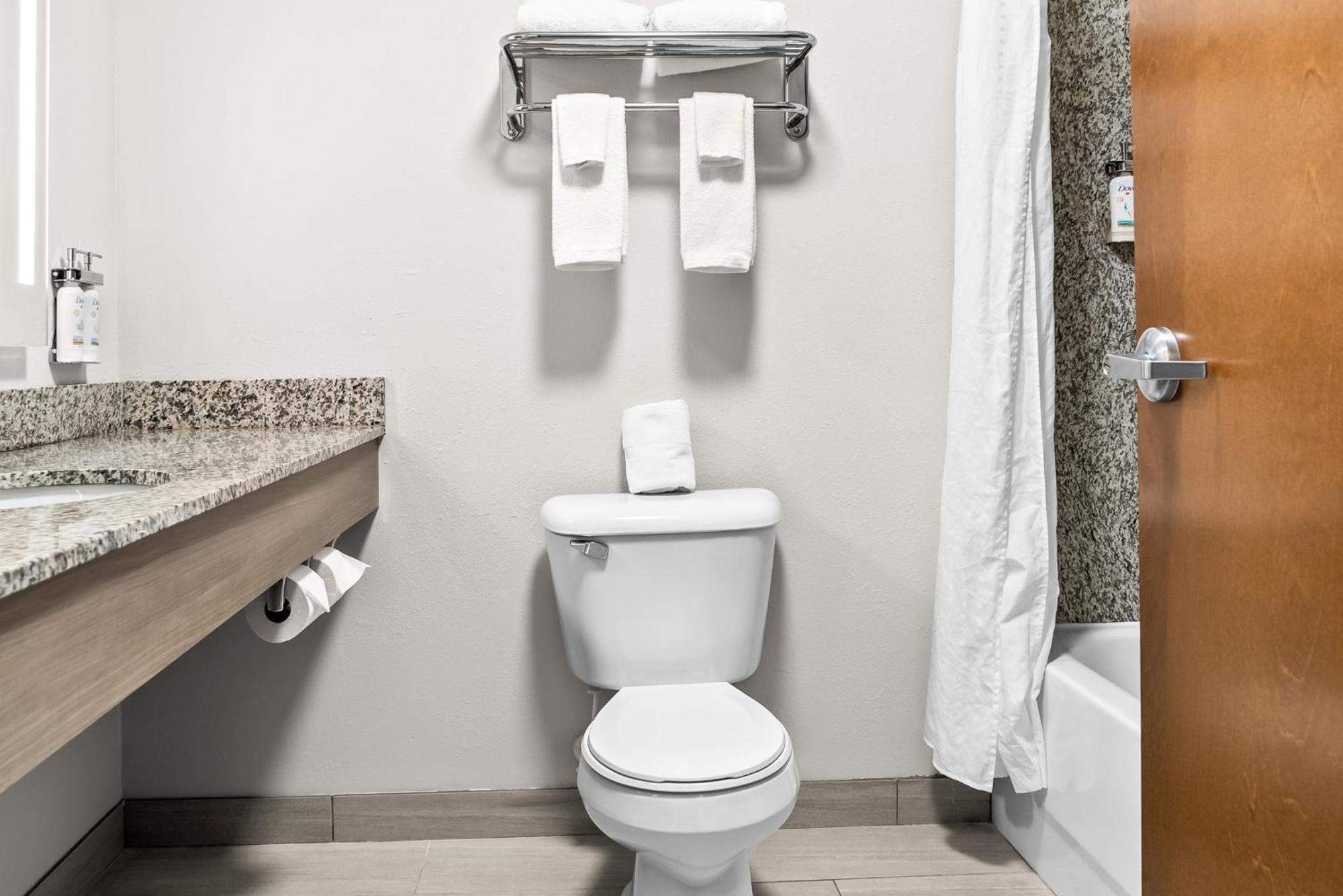 Holiday Inn Express & Suites Detroit - Novi By Ihg Dış mekan fotoğraf